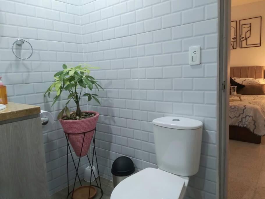 Heliconia Wagneriana Apartment - Flor De La Perla 산타마르타 외부 사진